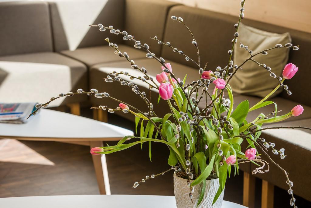 Nova Casa Spinatscha Sedrun Hostel Kültér fotó